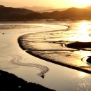 순천만풍경 이미지