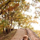 이성산성 관광안내소 | 공주 공산성 아이와 산책하기 좋은 공주 가볼만한곳 후기