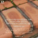 들풀 이미지