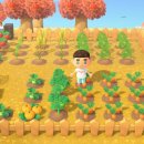 봉수농장 이미지