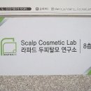 라파메디 | 대구두피관리 라파드 두피탈모센터 관리와 모리 케어 생식 솔직후기