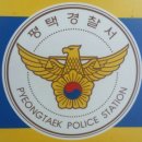 'Y존 필러 시술' 후 30대 여성 숨져…경찰, 불법 시술한 중국인 남성 수사 이미지