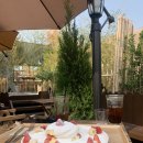 후니휘트니스 이미지