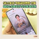 홈스토아 | SK스토아 적립금이벤트 11월 일타쇼 프로모션 TV쇼핑 알차게