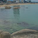 씨유 속초장사점 | 속초여행(2) / 영금정 / 장사항 / 활어회센터 / 베일호 / 감성돔, 매운탕 / 내돈내산 솔직후기