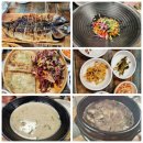 백송건장 | 밀양 기행 : 월연정. 백송. 금시당. 백곡재