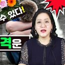 시험운ㆍ합격운 보는법 이미지