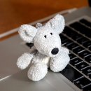 [자격증 취득과정] 진로적성상담사(2) 이미지