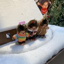 신사-113 | 캐리마켓 신사 ‘몬치치’ 팝업 후기