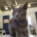 별이랑 놀자 이미지