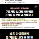 🚨익산 안락사 더 이상 연기❌ 임보쉼터 있어요. 구조만 해주세요🚨 이미지