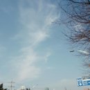 카페인디블루 이미지
