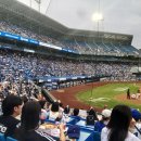 청림초등학교 | ⚾️ [대구 일상] 주말 본투표 완료! 삼성 라이온즈 파크 직관, 신세계백화점 쇼핑부터 프랭크버거까지...