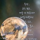 스톤게이트C.C 이미지