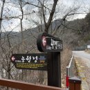 밀림식당 이미지