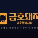 금호돼지 이미지