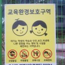 기동반-51 이미지