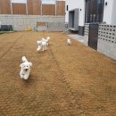 멍스테이션 이미지