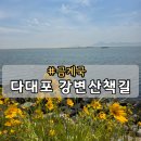 울산영락공원 | 부산 다대포 고니나루쉼터 강변 산책길 제주도 느낌 가볼만한 곳