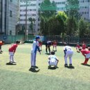 경희대파란태권도체육관 이미지