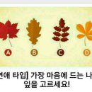 심심풀이 이미지