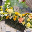 유성아크릴 | 대전 유성꽃집 꽃길｜어버이날 카네이션 준비하기 (카네이션아크릴백 5만원, 내돈내산 후기)