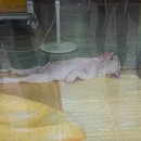 개편한세상 이미지
