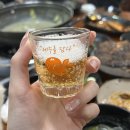 구도목장 | 이번 제주 여행은 목장 투어였을까?🐴🌿 - 2