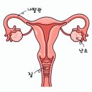 미래연여성의원 이미지