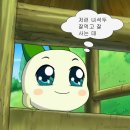 2024년 뒷뒷북