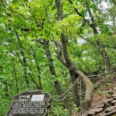 용당쉼터 이미지