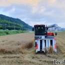 양곡1천 이미지