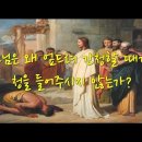 다해온 이미지
