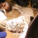 카페온정 이미지