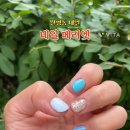 네일메리엣