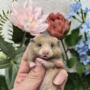 패러그린샵 명지점 이미지