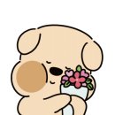 스톤코브A 이미지