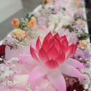 한사랑요양병원장례식장 이미지