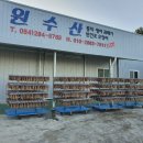 포항 원수산 네이버블로그