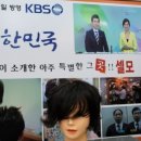 셀모가발미용실