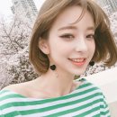 더성인PC 이미지