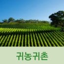 케이팜㈜ 이미지