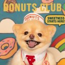 김포애견클럽 이미지