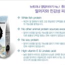 현대애견사료 이미지