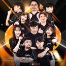 (주)아프리카티비 이미지