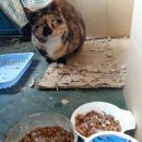 엠오바이오 이미지