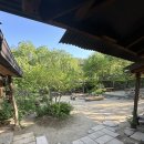 원주신림카페) 들꽃이야기 솔직후기