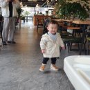 포레스트한의원 | 아이랑 파주 브런치 카페 로빈포레스트 방문 후기
