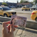 나의 면허 이야기🚕 (춘천 신촌자동차운전전문학원)