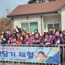 마이골발효식품 이미지